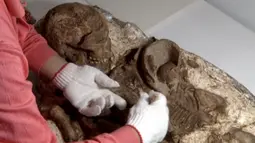 Seorang kurator membersihkan fosil manusia berusia 4.800 tahun yang ditemukan di sebuah pemakaman kuno di kawasan Taichung, Selasa (26/4). Fosil tersebut merupakan seorang ibu yang memegang anak bayi dalam pelukannya. (REUTERS/via Reuters TV)