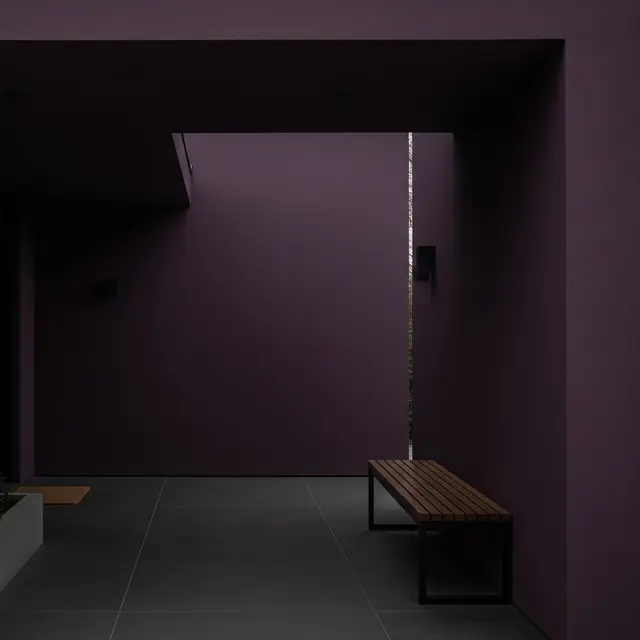 Teras Warna Ungu Tua atau Terong (Gemini AI)