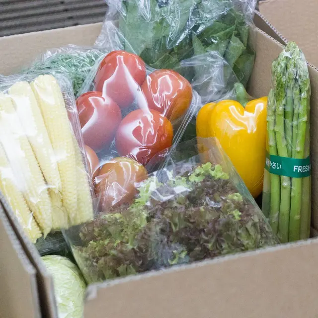 Sayur Box/dok. Shopee