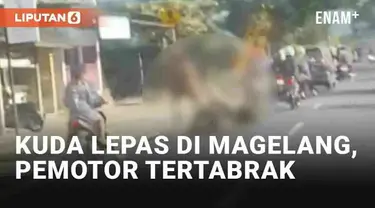 Pengendara di Jl. Tempuran, Magelang, Jawa Tengah dibuat geger pada Sabtu (13/7/2024) sore. Seekor kuda tiba-tiba berlari di jalanan dan membuat panik pengendara yang melintas. Seorang pemotor menjadi korban lantaran tertabrak saat berpapasan dengan ...