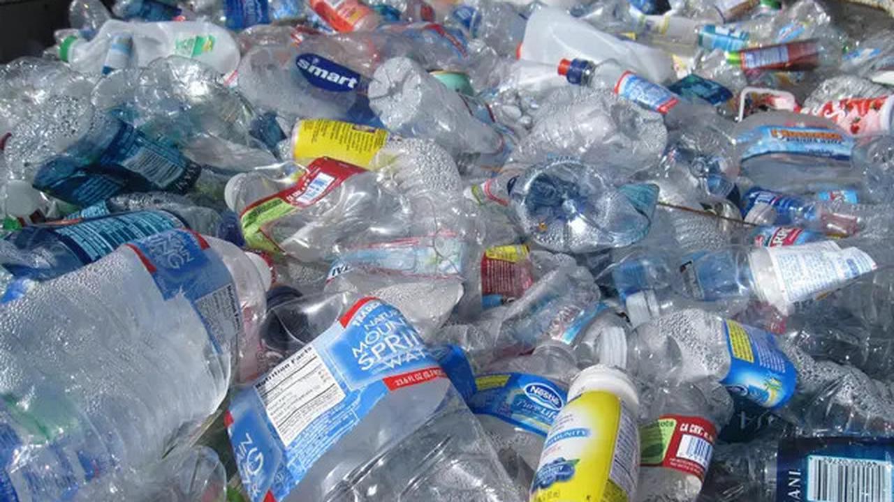 Ulat Kecil Afrika Ini Bisa Makan Plastik, Begini Caranya