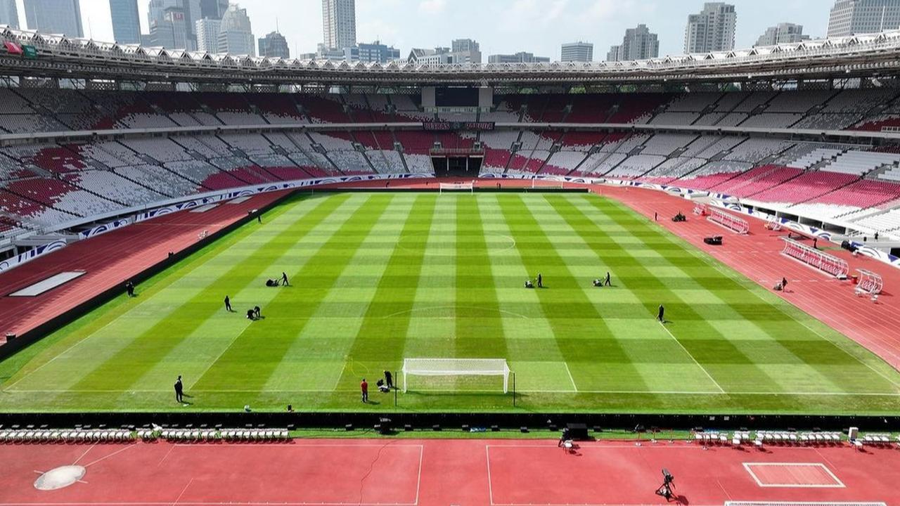 Kondisi Terbaru Rumput GBK Jelang Duel Timnas Indonesia vs Timnas Arab Saudi