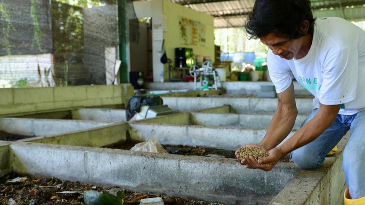 Mengelola Sampah dan Peluang Usaha Lewat Budidaya Maggot di Rumah