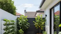 6 Ide Halaman Rumah Ala Petani Modern yang Cocok di Perkotaan, Hemat Tempat dan Mudah Dirawat