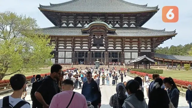 Laporan Liputan6.com dari Nara Jepang: Bercengkerama dengan Rusa-rusa Ikon Kota