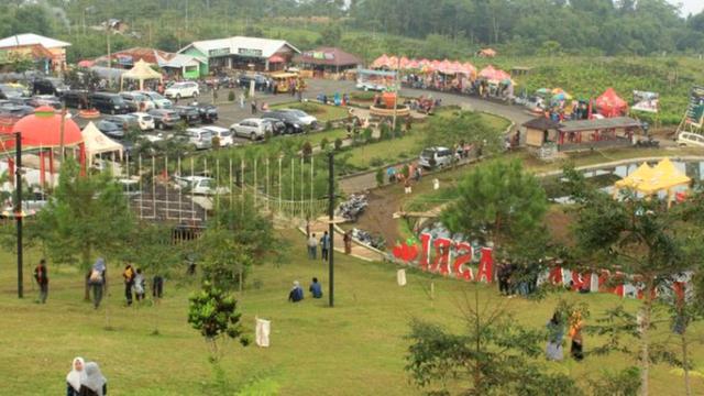 Menyapa pagi di Lembah Asri D’Las, Serang, Karangreja, Purbalingga. (Foto: Liputan6.com/Dinkominfo Purbalingga/Muhamad Ridlo)