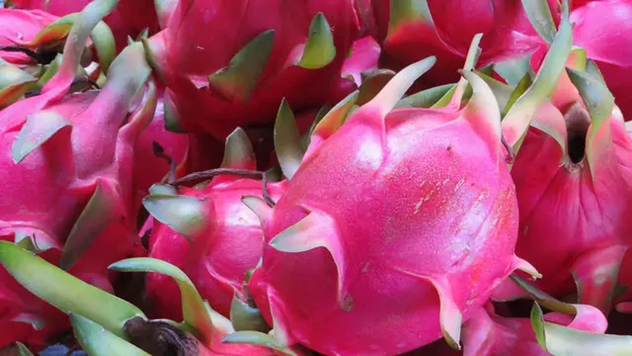 10 Khasiat Buah Naga untuk Kesehatan, Kaya Nutrisi dan Cocok untuk Diet