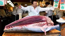 Pengusaha restoran sushi Jepang, Kiyoshi Kimura memamerkan ikan tuna sirip biru seberat 276 kg di restoran utamanya di Tokyo, Minggu (5/1/2020). Tuna raksasa itu dibeli mencapai Rp 24 miliar dan disebut sebagai yang tertinggi kedua dalam rekor lelang ikan di Pasar ikan Toyosu. (Kazuhiro NOGI / AFP)