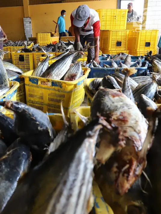 Nelayan memindahkan ikan laut hasil tangkapan di Pelabuhan Muara Angke, Jakarta, Kamis (26/10). Menurut Kementerian Kelautan dan Perikanan (KKP), ekspor produk perikanan tercatat sebanyak 510.050 ton pada semester I-2018. (Liputan6.com/Angga Yuniar)