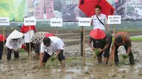 Padi Nuklir Meluncur, Amankah Dikonsumsi? 
