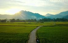 Pemandangan Desa Bantarkuning di Bogor Ini Viral di Media Sosial, Hamparan Sawah dan Gunungnya Menyejukkan Mata