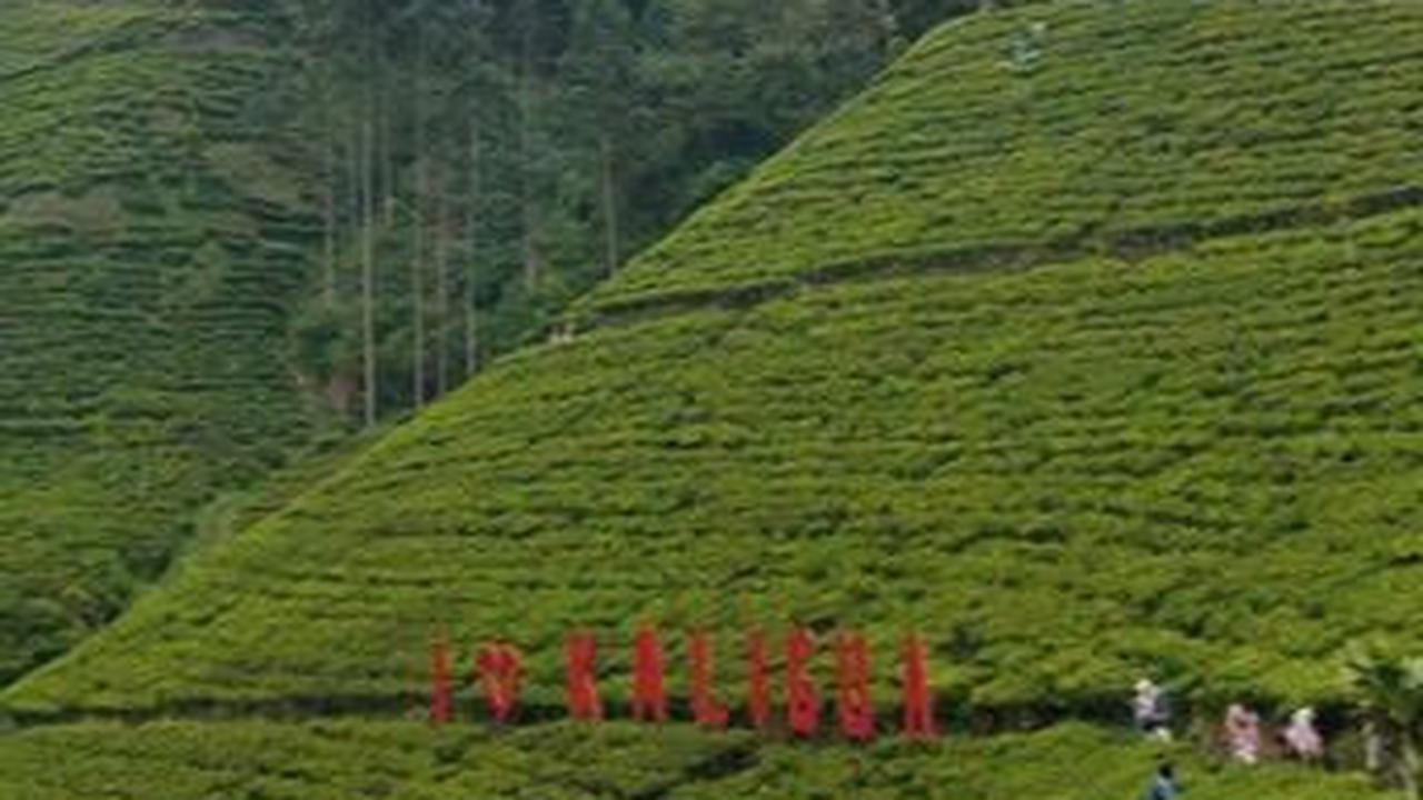 4. Agrowisata Kaligua<br>