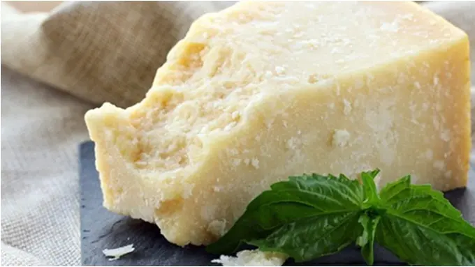 Foto: copyright ecorazzi.com