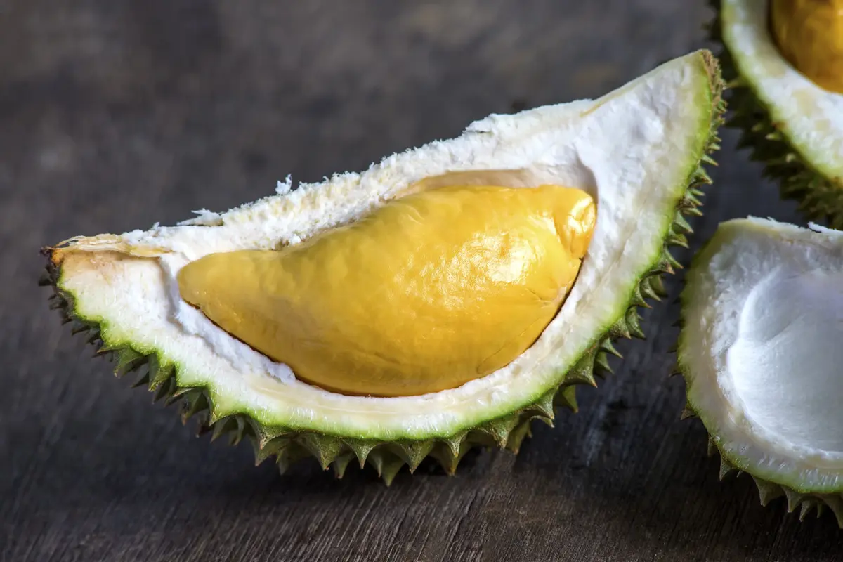 Manfaat Durian untuk Meningkatkan Kesuburan Perempuan