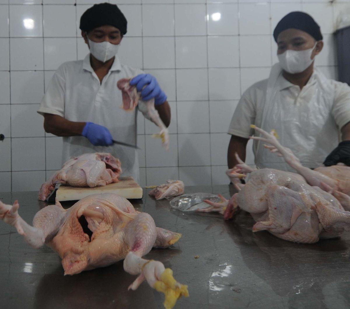 Salah satunya seperti di Rumah Potong Hewan (RPH) Rawa Kepiting ini. Sebanyak 15-25 ton ayam potong sudah untuk memenuhi pasokan lima wilayah di DKI Jakarta seperti ayam potong fillet. Foto: merdeka.com / Imam Buhori<br>