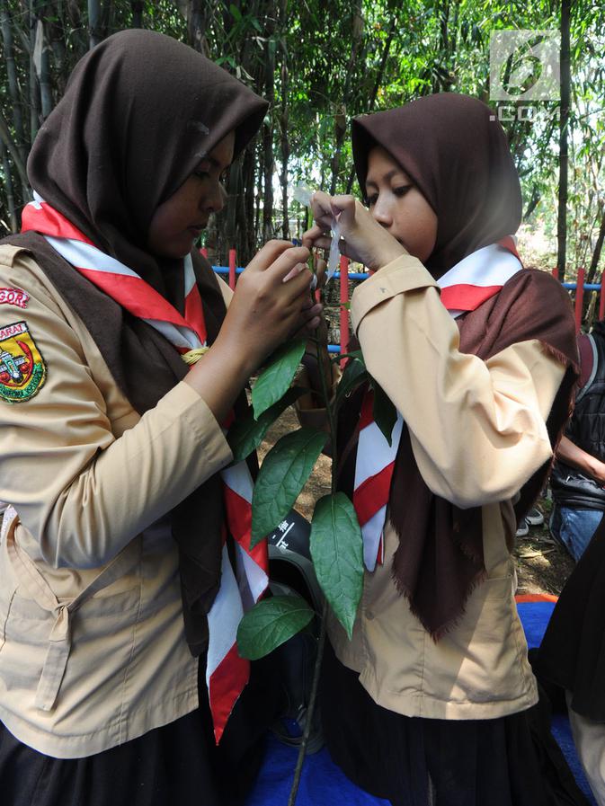 Foto Hari Pohon Sedunia Karang Taruna Tani Ajarkan Teknik Merawat Tanaman Regional Liputan6 Com