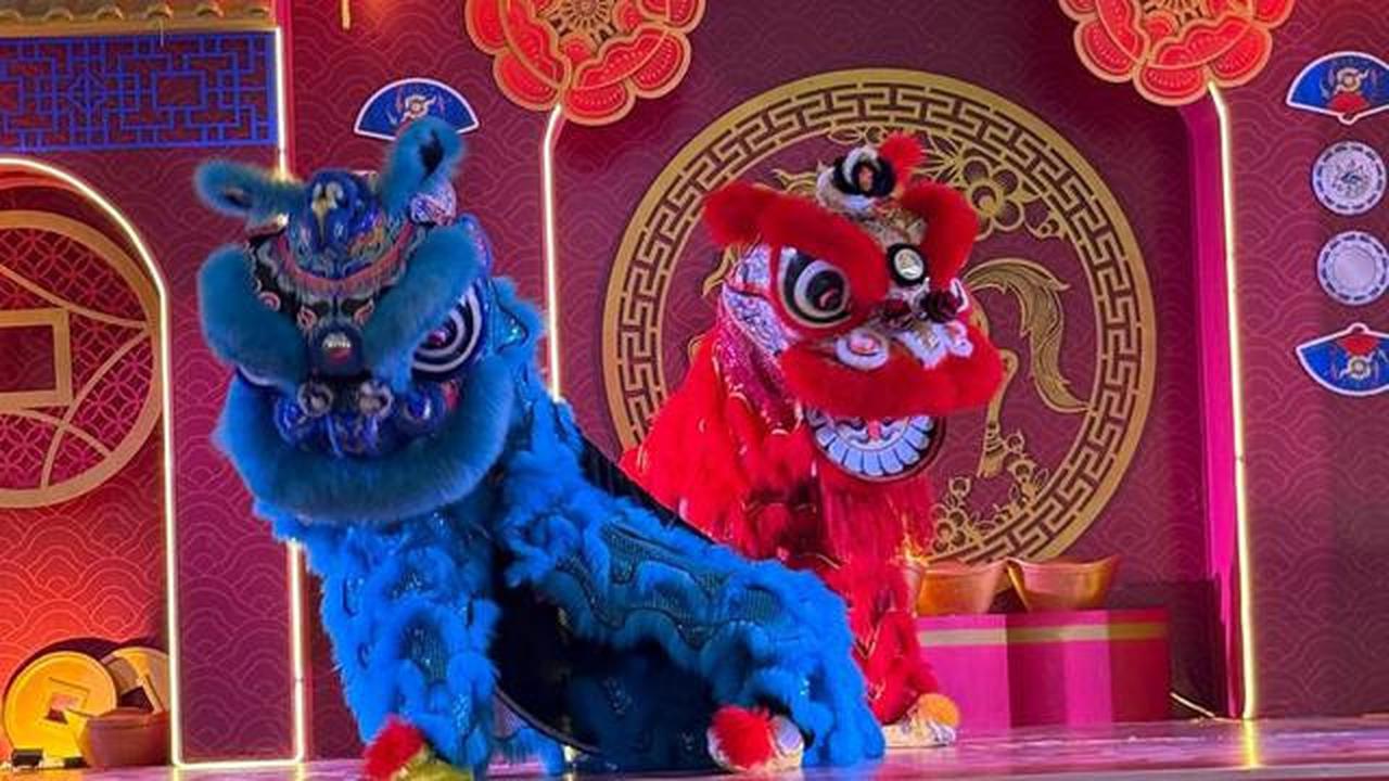 Makna Barongsai di Indonesia: Tak Hanya Sebuah Tarian, Tapi Simbol Persatuan di Tengah Keragaman