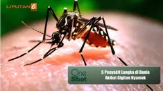 Ada beberapa jenis penyakit selain malaria dan DBD yang ditularkan oleh nyamuk.