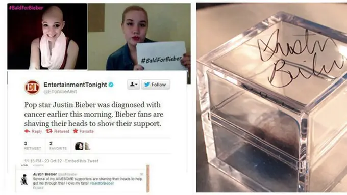 Foto : copyright oddee.com