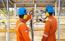 PLN EPI Usung Bioenergi Gantikan Biomassa, Siap Jadi Motor Hijau Transisi Energi Indonesia