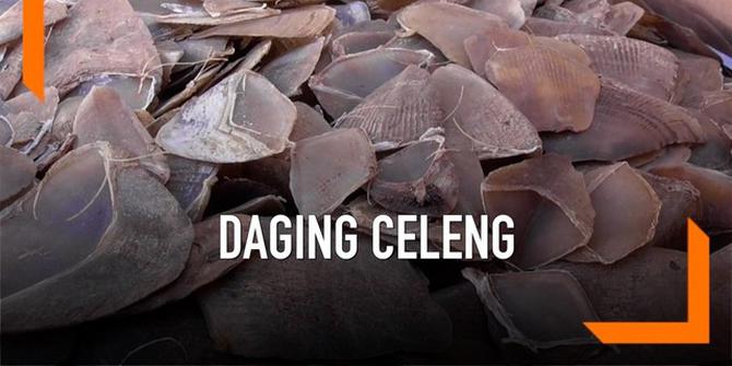 VIDEO: Polisi Gagalkan Penyelundupan 1,2 Ton Daging Celeng