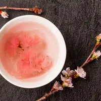 ilustrasi teh bunga sakura/norikko/Shutterstock