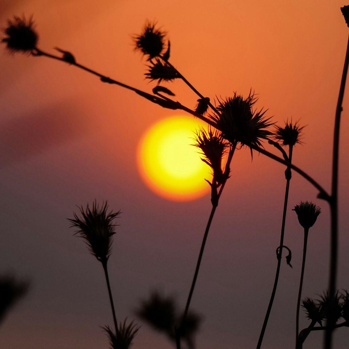 90 Quotes Sunset Estetik untuk Caption, Penuh Makna Indah