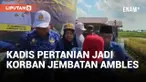 Walah! Jembatan Ambruk Saat Dilalui Kepala DPKP Kalsel
