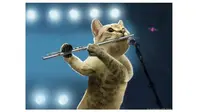 6 Potret Lucu Kucing Bermain Alat Musik Ini Bikin Gemas