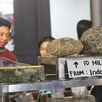 Sepasang batu akik bermotif kura-kura yang dipamerkan pada event Jakarta Fair 2015 di jual dengan harga Rp 10 Miliar. Via: dok.PRJ Kemayoran