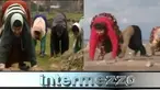 (Liputan6.com)