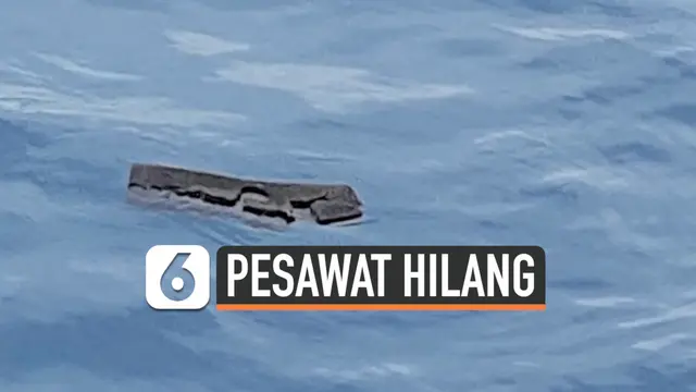 puing pesawat