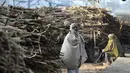 Seorang petani saat akan membawa tebu untuk dijual di pabrik gula di Modinagar di Ghaziabad, New Delhi, (31/1). Pemerintah India akan fokus pada sektor pertanian dalam anggaran tahunannya yang dirilis pada 1 Februari. (AFP Photo/Prakash Singh)