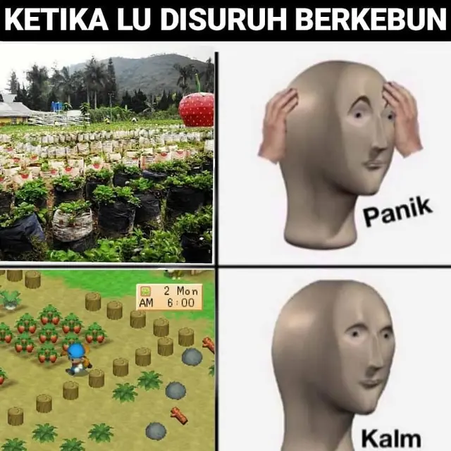 7 Meme Ekspektasi Vs Realita Main Game dengan Aslinya Ini Sering Terjadi