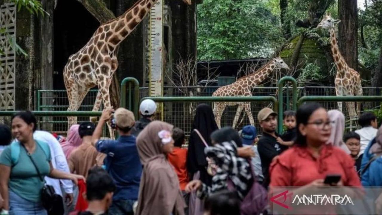Lebih dari 350 Ribu Wisatawan Padati Ragunan Selama Libur Lebaran 2026