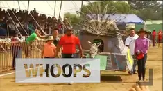 Festival ini pertama kali dimulai 60 tahun lalu sebagai penghargaan terhadap hewan paling bekerja keras di Otumba.
