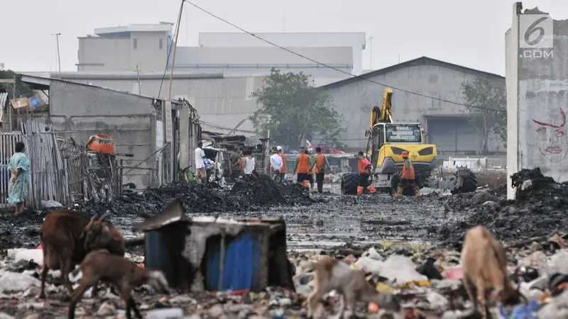 Setelah Viral, Lautan Sampah Kampung Bengek Mulai Dibersihkan