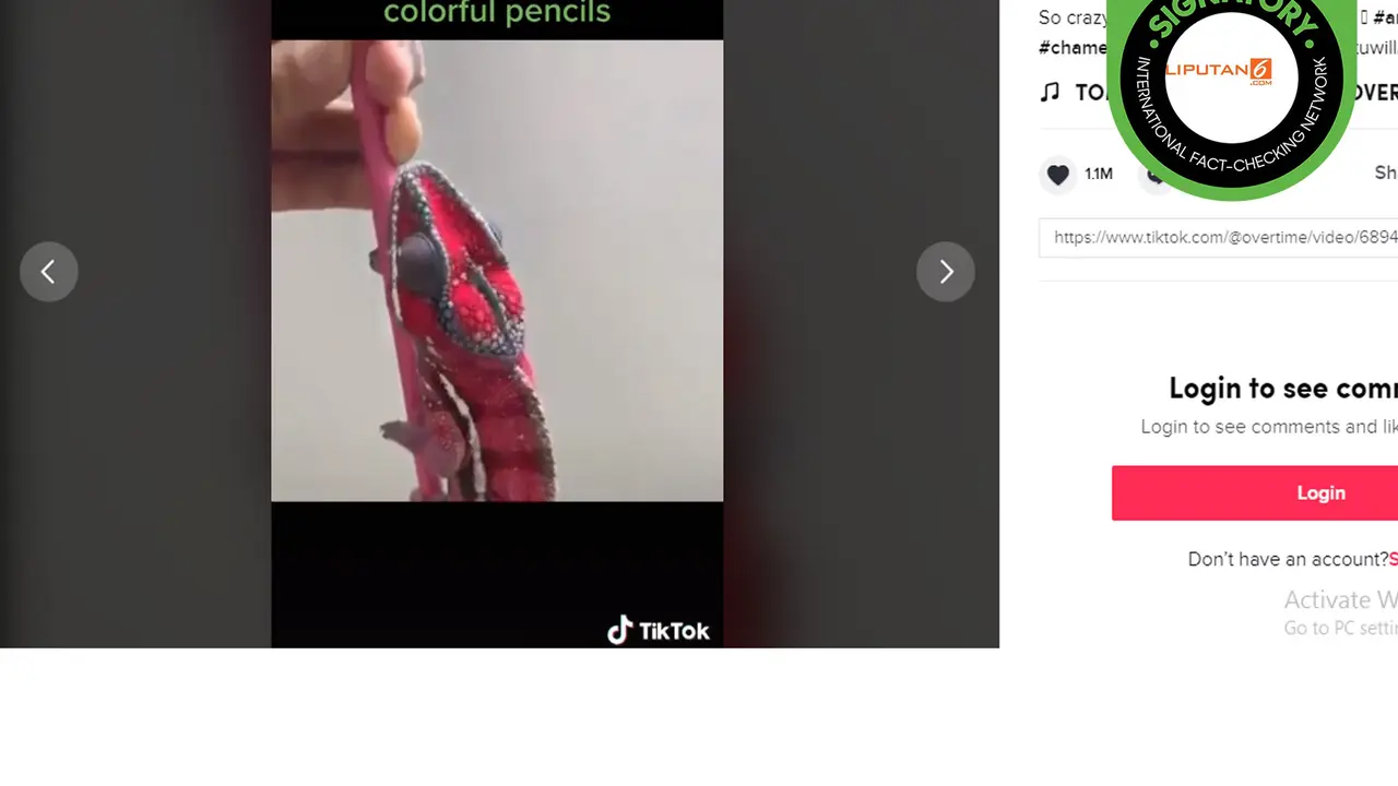 Tidak benar bunglon bisa ganti warna sesuai warna pensil
