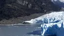 Perito Moreno disebut sebagai "gletser yang hidup", karena tercatat terus bertambah ukurannya sekitar dua meter setiap hari. (Walter Diaz / AFP)