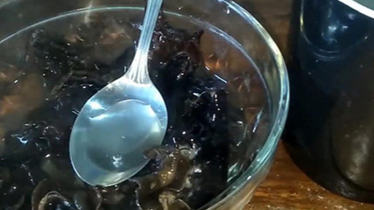 Jamur Kuping Setelah Direndam Air Panas