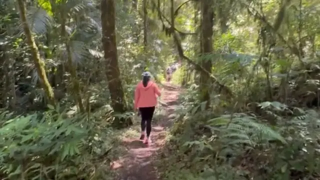 Suasana hutan di Gunung Lesung yang ada di Bali @yogapandita