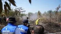 KLH Segel 50 Badan Usaha Terkait Kebakaran Hutan