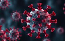 Waspada Virus HMPV dari China, Begini Gejala Dirasakan