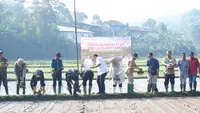 Petani Sukabumi 'Curi Start' Tanam Padi, Ini Alasannya