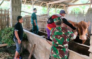Proses vaksinasi di Banyuwangi. (Foto/istimewa)
