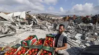 Cerita Petani Palestina Bertahan Hidup di Tengah Pembatasan Israel