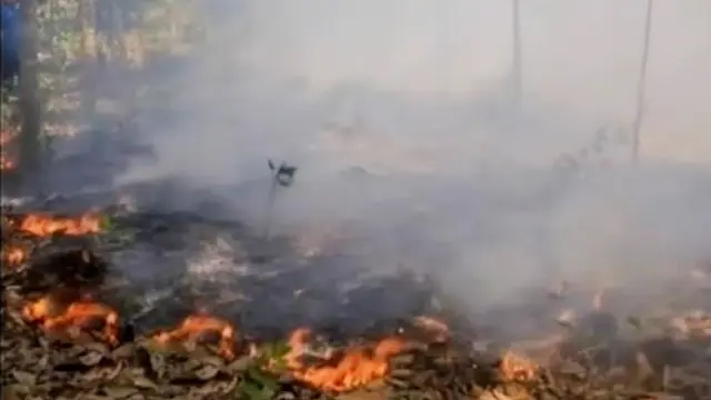 Tim Satgas Karhutla: Kebakaran Hutan dan Lahan di Riau Disengaja