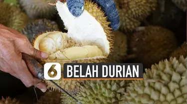 Agar tak menimbulkan resiko luka, berikut tips membuka durian sendiri.