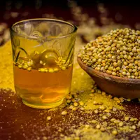 ilustrasi biji ketumbar/mirzamlk/Shutterstock