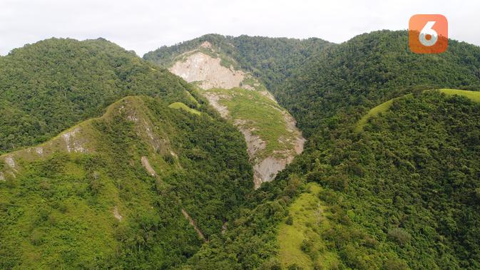 Kondisi permukaan gunung di desa Poi yang menjadi ancaman warga. tampak bagian puncak hingga tebing gunung itu yang terbuka dan rapuh yang memperlihatkan kandungan material yang mengancam desa Poi. (Sumber foto: Himpunan Ahli Geofisika Sulteng/ Mauludin).